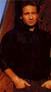 46.jpg (55537 bytes)
